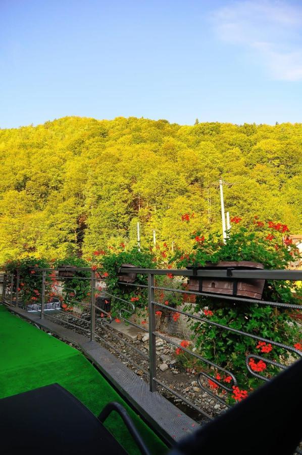 New Green Slanic-Moldova Bagian luar foto
