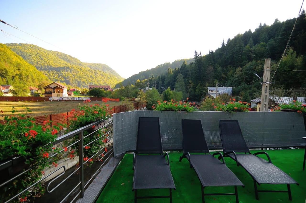 New Green Slanic-Moldova Bagian luar foto